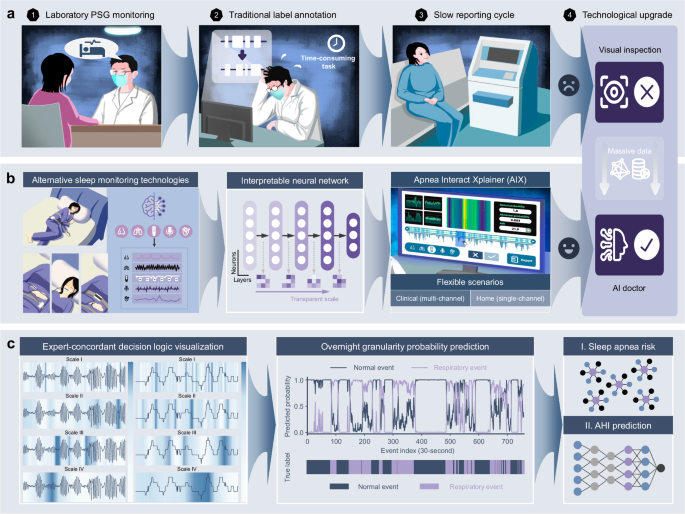 Transparent AI-enabled sleep apnea assessment framework